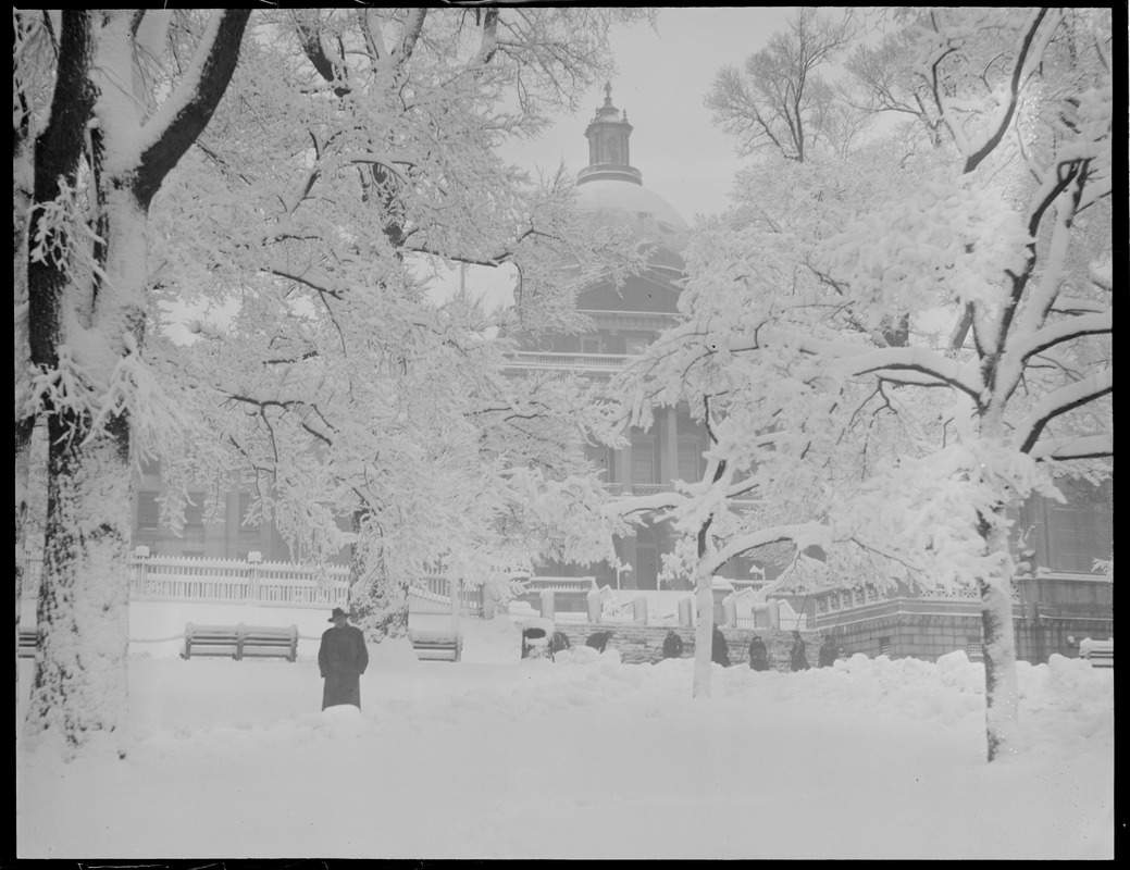 Boston Common in winter Digital Commonwealth