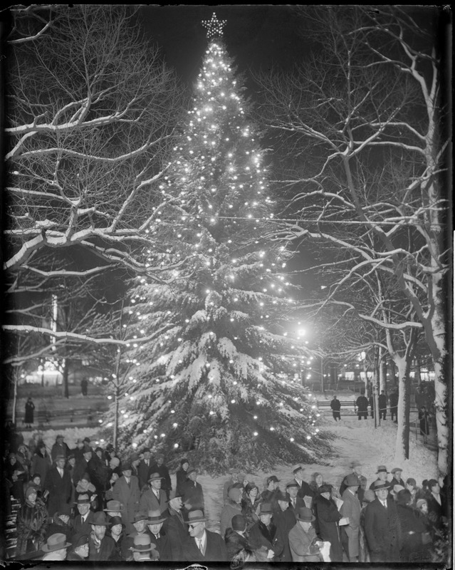 Christmas tree, Boston Common Digital Commonwealth