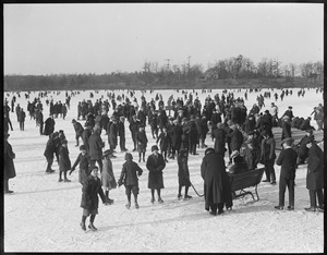 Skating crowd - Jamaica Pond