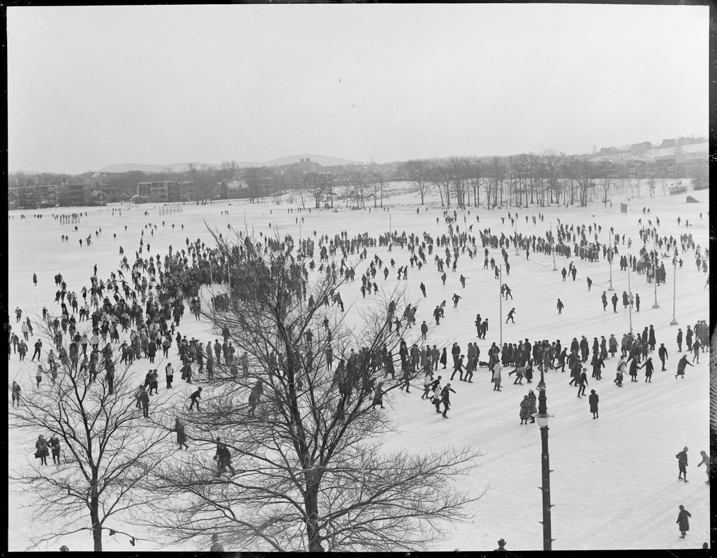 Franklin Park skaters