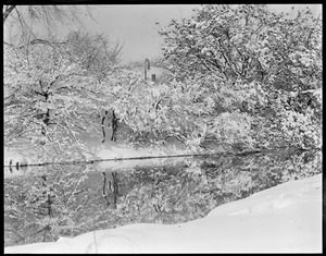 Snow scene in the Fenway