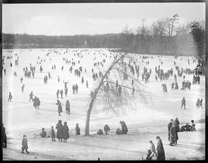 Skating on Jamaica Pond