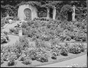 Franklin Park rose garden