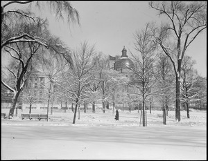 State House - after a big snowstorm