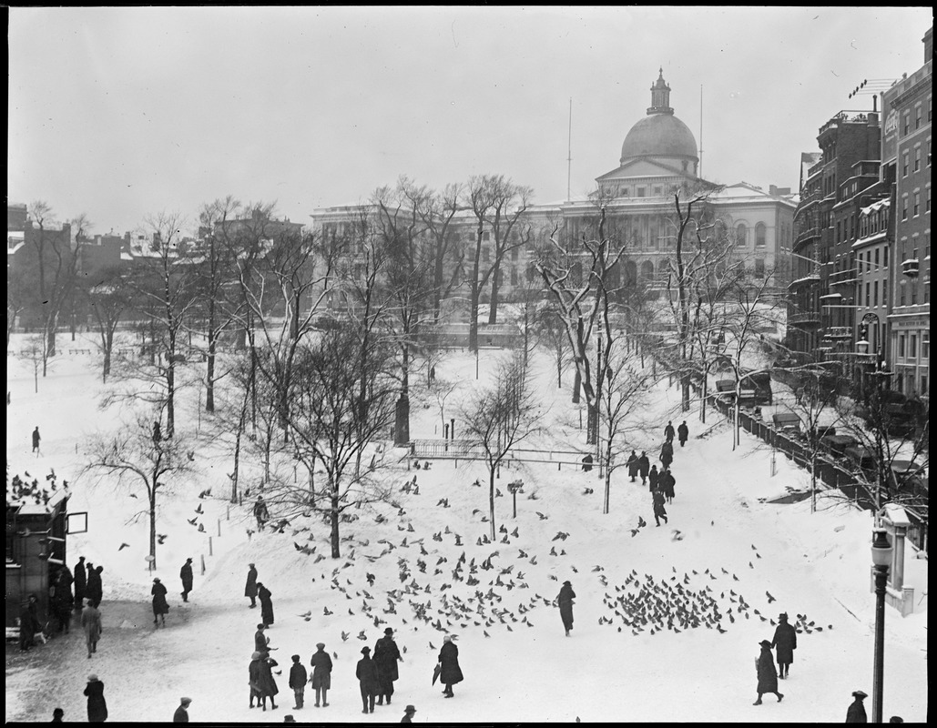 State House in wintertime from Tremont Street, feeding pigeon on Common - Bird's eye