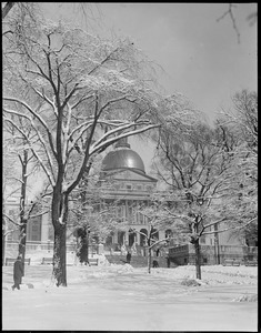 State House - after a snowstorm