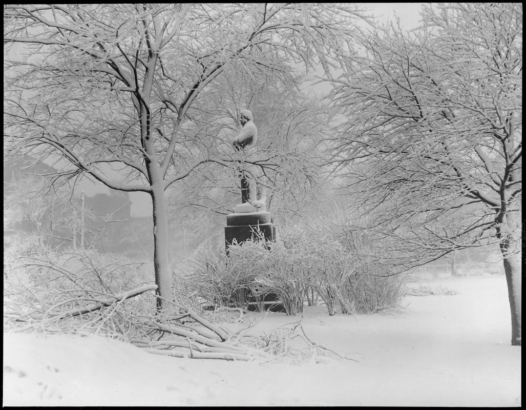 Charles Sumner's statue covered with snow - Public Garden
