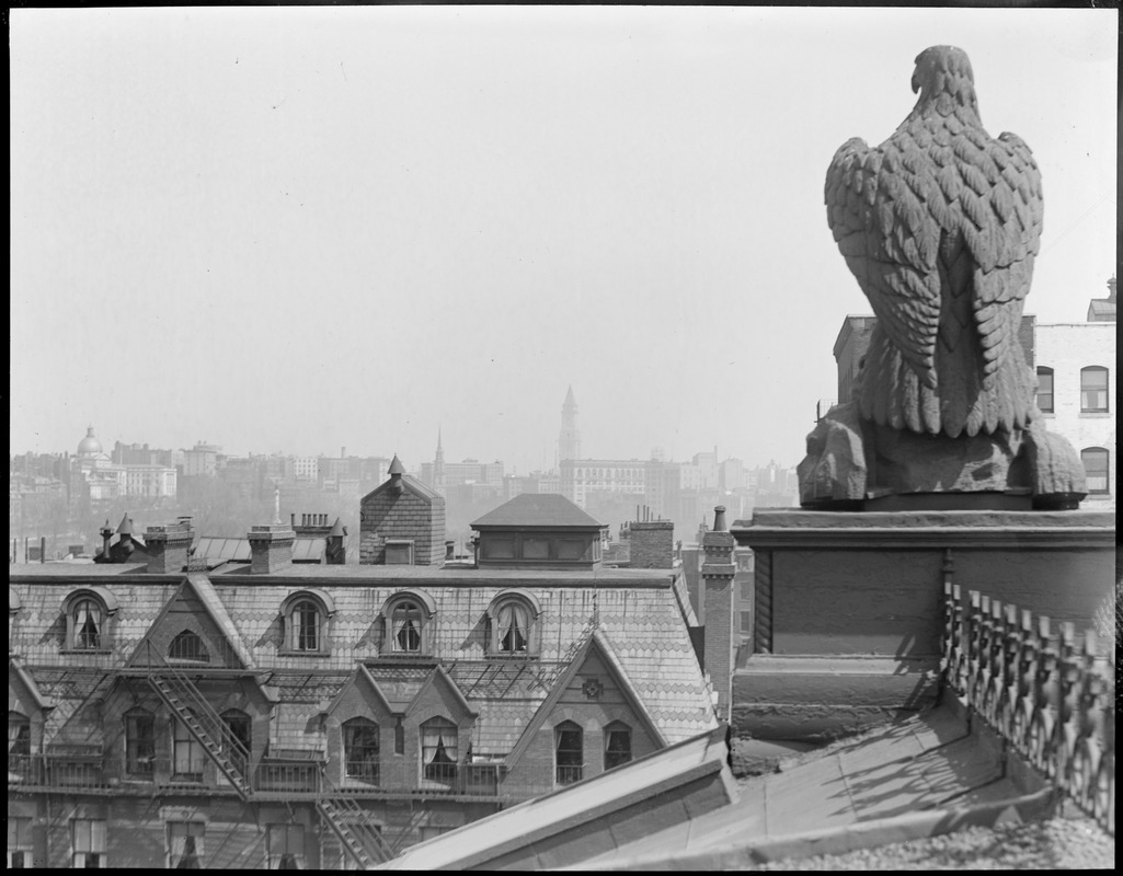 Eagle on roof of Natural History Building keeps a watchful eye on Boston