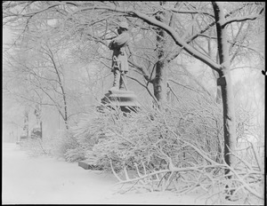 Col. Thomas Cass statue covered with snow - Public Garden