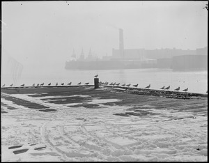 Pier in winter, Boston