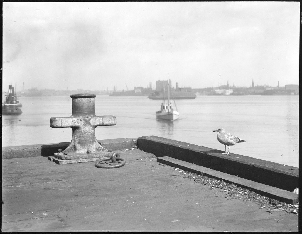 Fish Pier? Commonwealth Pier?