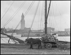 Cart and horse on South Boston waterfront