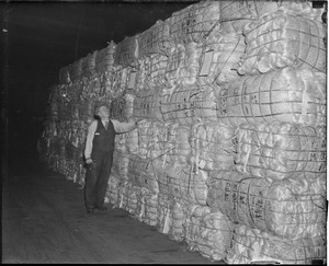 Charlestown Navy Yard/rope making; Alex Summers looking over the supply of hemp stored in building no. 62 ready to be removed to the rope walk building.