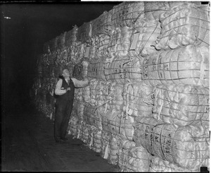 Charlestown Navy Yard/rope making; Alex Summers looking over the supply of hemp stored in building no. 62 ready to be removed to the rope walk building.