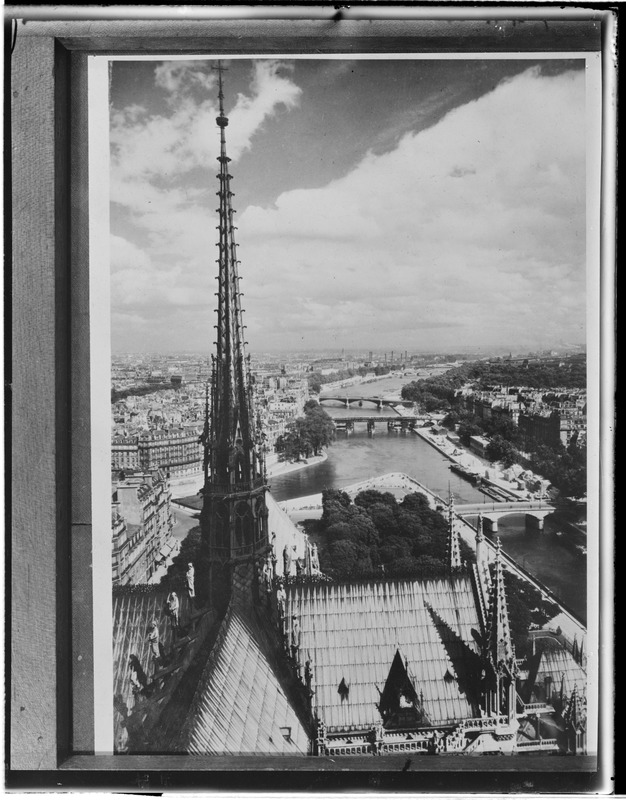 Paris from Notre Dame