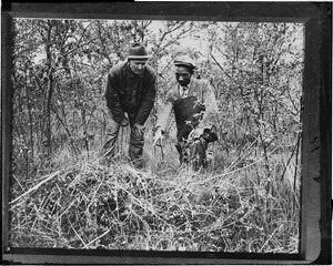 Unidentified men in underbrush
