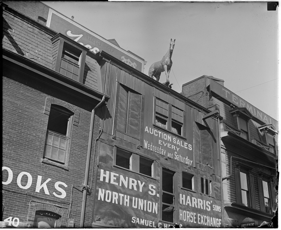 Horse mounted on rooftop near North Station, no. 42 Traverse St., Boston