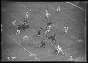 No. 43 runs the ball for Harvard, Harvard vs. Holy Cross