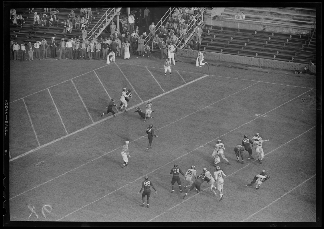 Cornell player catches pass, Cornell 33 - Harvard 14