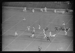 No. 31 for Cornell tackles Harvard's No. 30, Cornell 33 - Harvard 14