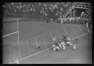 No. 33 carries ball for Cornell, Cornell 33 - Harvard 14