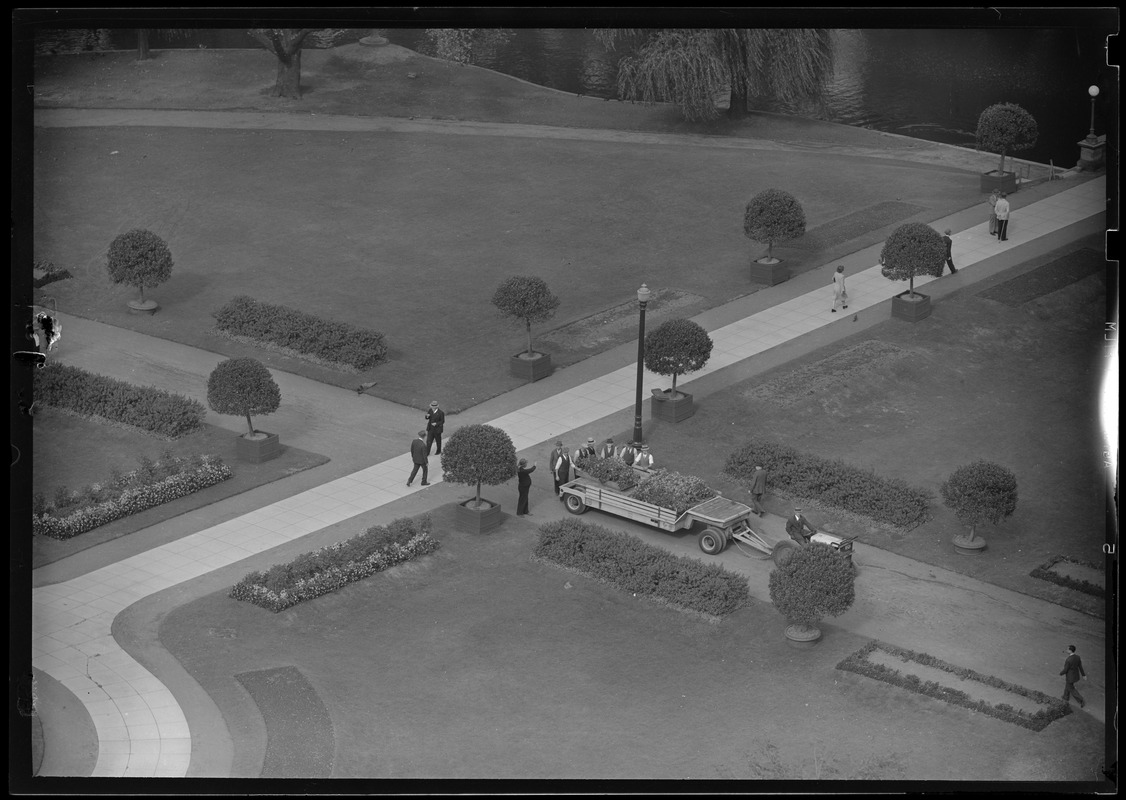 men-planting-new-flower-bed-in-public-garden-digital-commonwealth