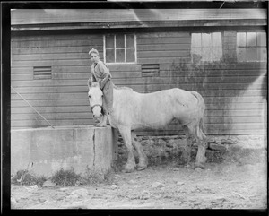 Boy on horse at stable