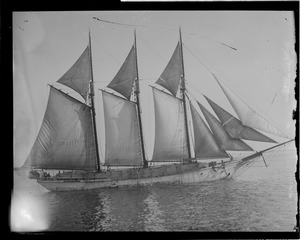 Three-masted lumber schooner