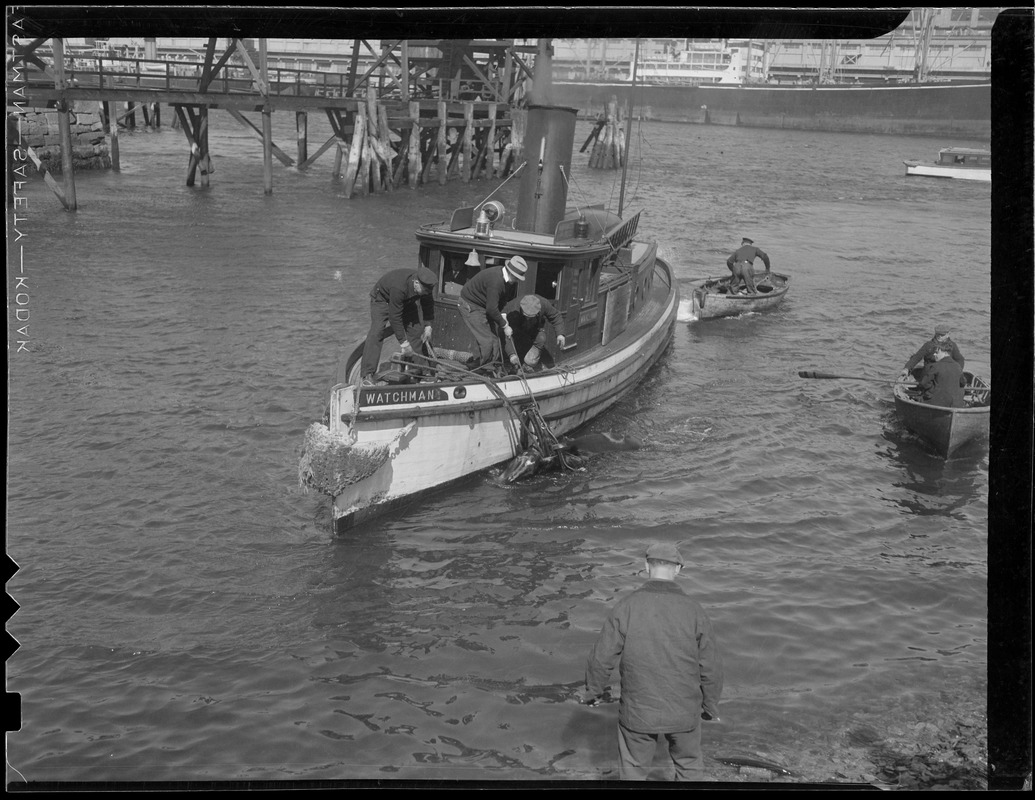 Maritime drowning victim - 'Watchman' - harbor master and police