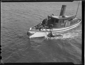 Maritime drowning victim - 'Watchman' - harbor master and police