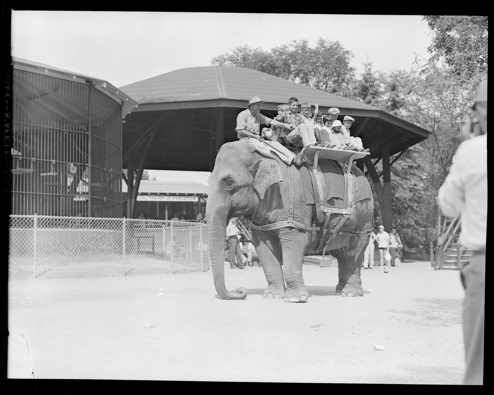 Bensons Animal Farm, Hudson, N.H. Elephant