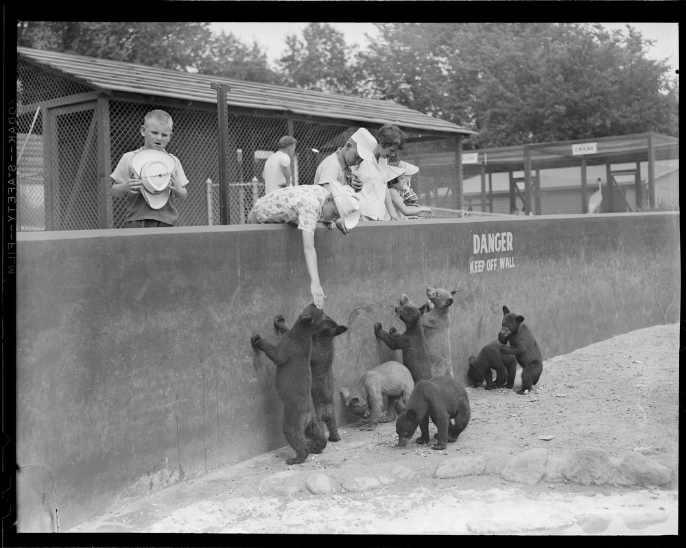 Bensons Animal Farm, Hudson, N.H.