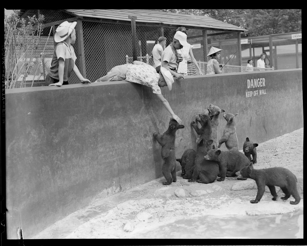 Bensons Animal Farm, Hudson, N.H. Digital Commonwealth