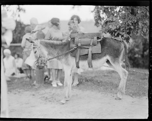 Bensons Zoo, Nashua, N.H.