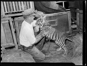 Man with tiger cub
