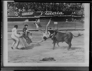 Fighting the bull in Spain & Mexico