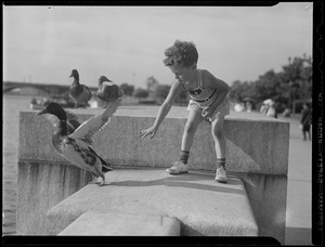 Boy chasing ducks