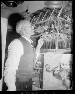 Canary raiser, Quincy