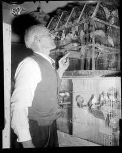 Canary raiser, Quincy