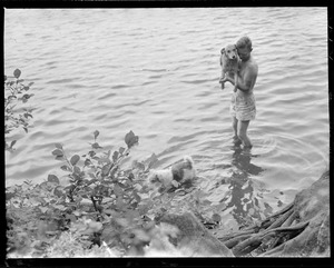 Boy and dogs in water