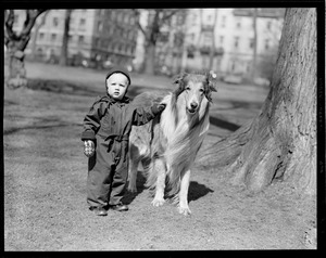 Little boy and collie