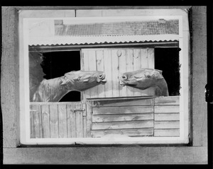Horses in stable
