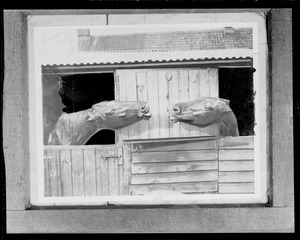 Horses in stable