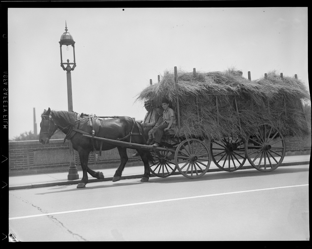 Horse pulling hay wagon
