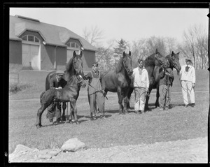 Boys with horses at Mass. Agricultural College in Amherst