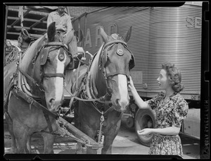 Woman greets two horse team