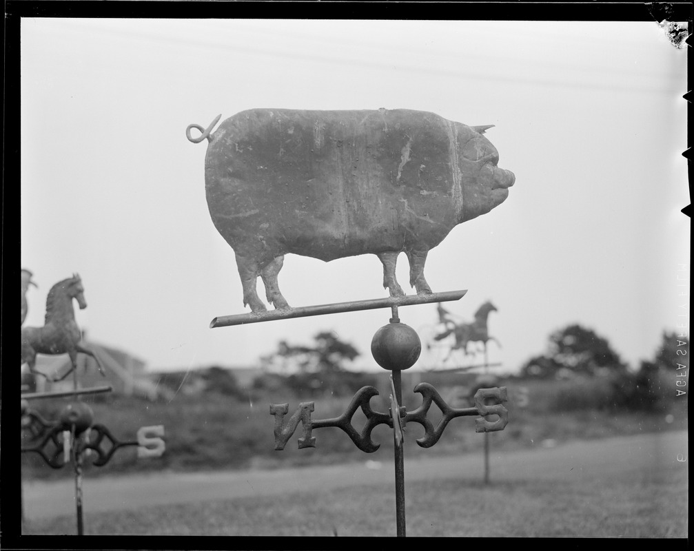 Weathervanes Digital Commonwealth