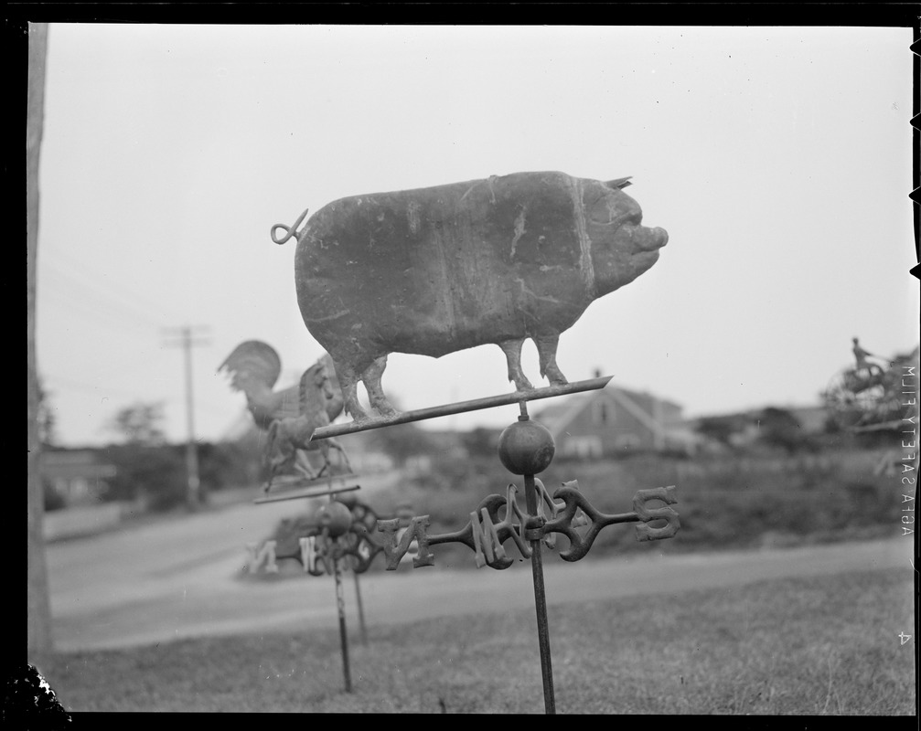 Weathervanes Digital Commonwealth