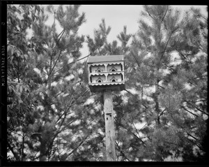 Birdhouses