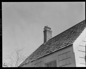 Birdhouses, chimney
